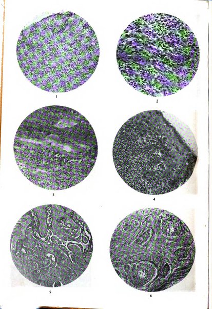 Annali di ostetricia e ginecologia