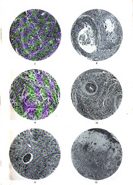 Annali di ostetricia e ginecologia