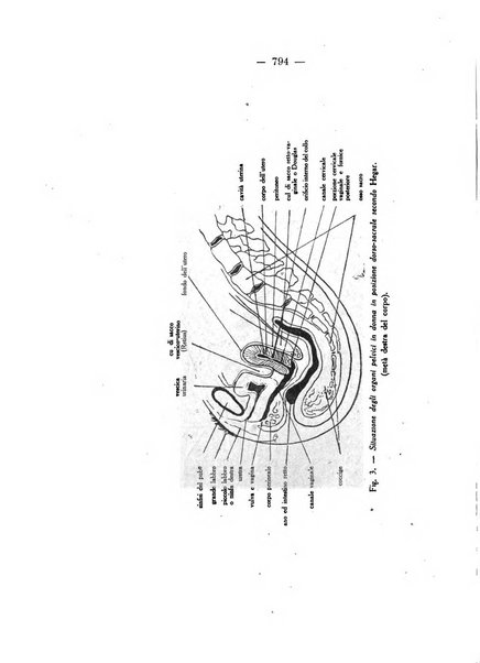 Annali di ostetricia e ginecologia