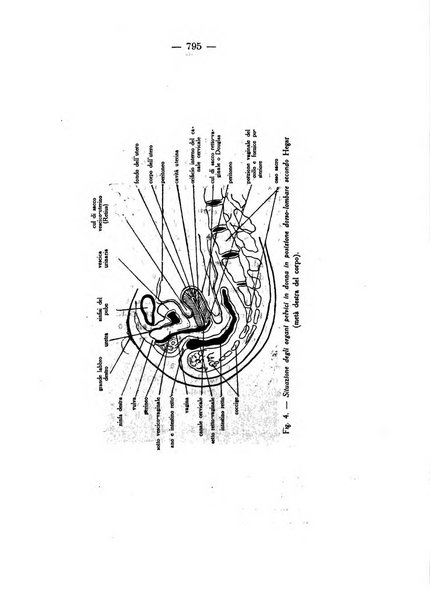 Annali di ostetricia e ginecologia