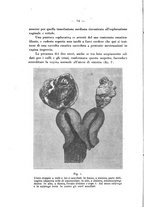 giornale/PUV0109343/1924/unico/00000100