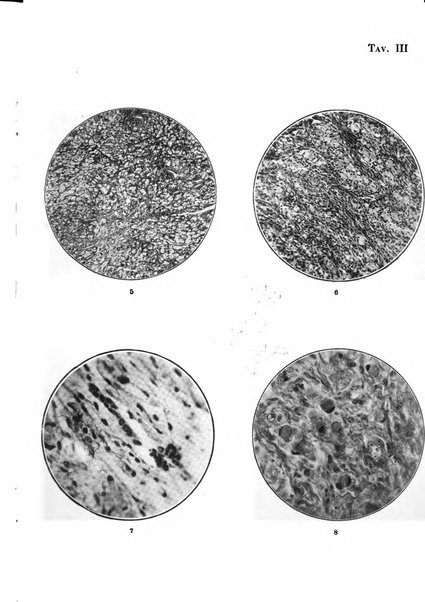 Annali di ostetricia e ginecologia