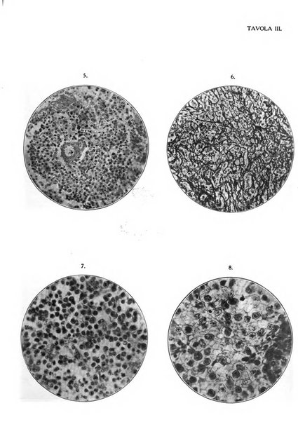 Annali di ostetricia e ginecologia