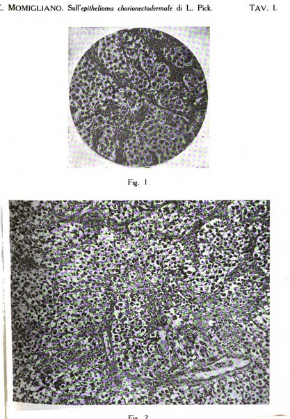 Annali di ostetricia e ginecologia