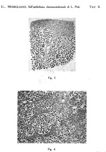 Annali di ostetricia e ginecologia