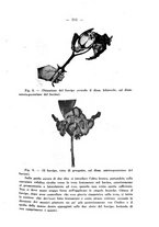 giornale/PUV0109343/1926/unico/00000293