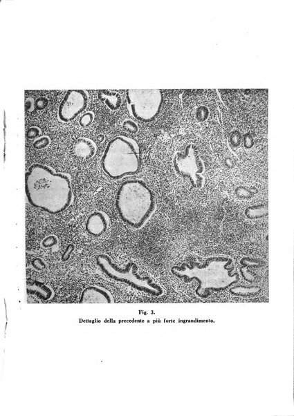 Annali di ostetricia e ginecologia