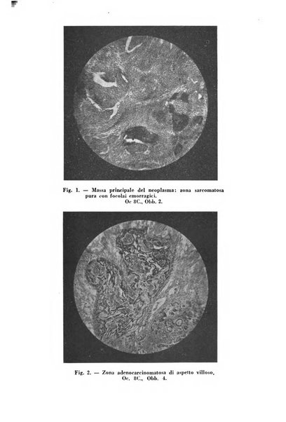 Annali di ostetricia e ginecologia