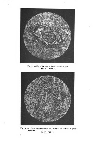 Annali di ostetricia e ginecologia