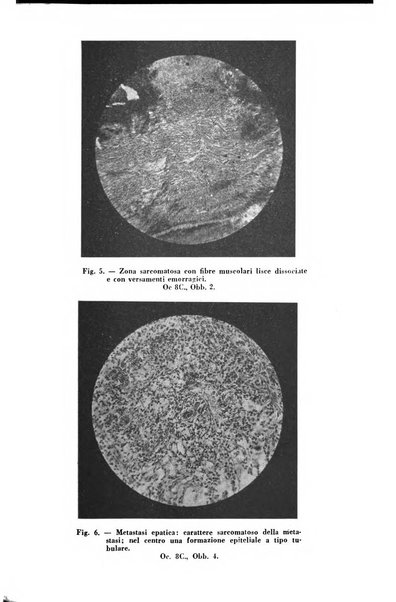 Annali di ostetricia e ginecologia