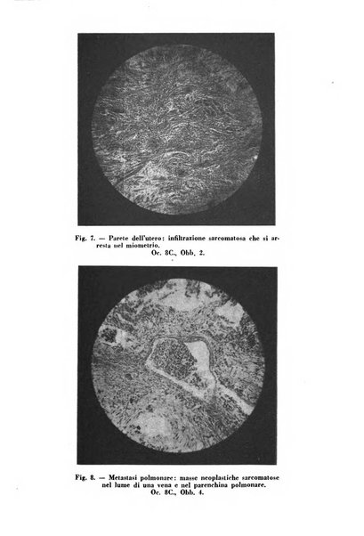 Annali di ostetricia e ginecologia