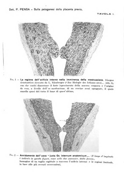 Annali di ostetricia e ginecologia