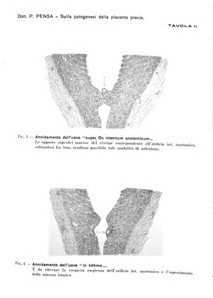 Annali di ostetricia e ginecologia