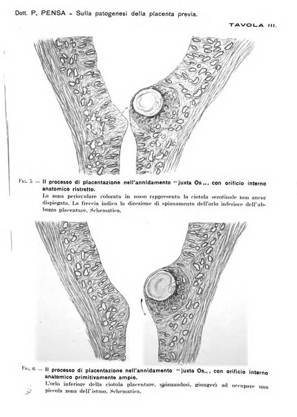 Annali di ostetricia e ginecologia