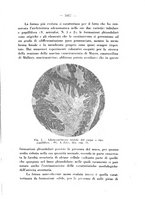 giornale/PUV0109343/1927/unico/00001107