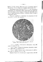giornale/PUV0109343/1927/unico/00001110