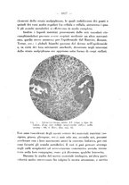 giornale/PUV0109343/1927/unico/00001117