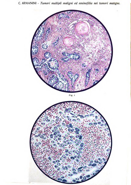 Annali di ostetricia e ginecologia