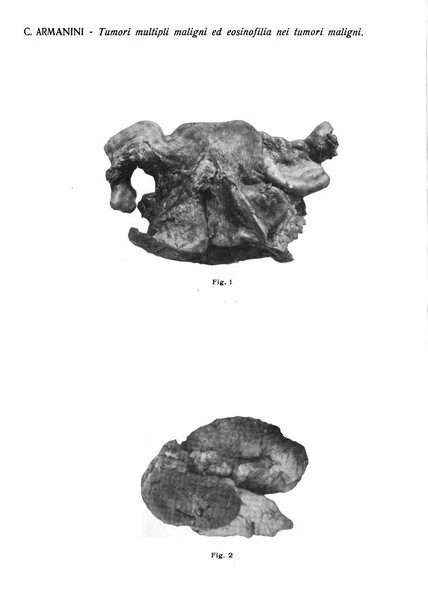 Annali di ostetricia e ginecologia