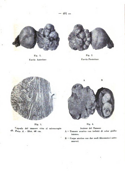 Annali di ostetricia e ginecologia