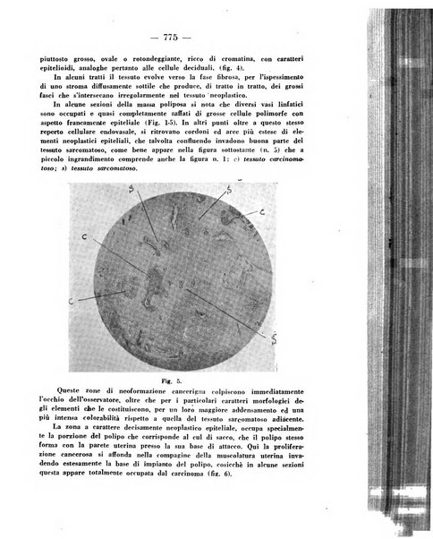 Annali di ostetricia e ginecologia