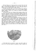 giornale/PUV0109343/1928/unico/00000815