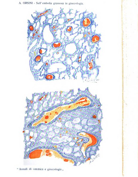 Annali di ostetricia e ginecologia