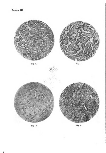 Annali di ostetricia e ginecologia