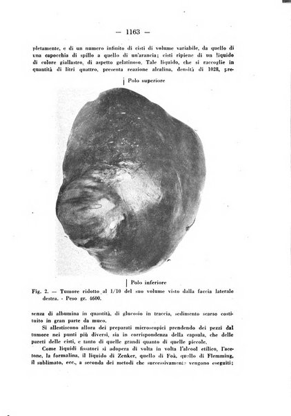 Annali di ostetricia e ginecologia