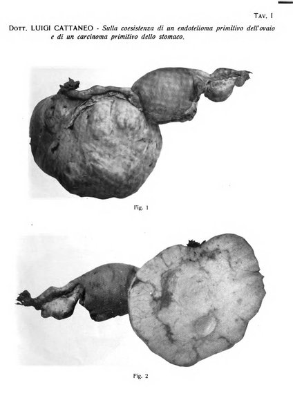 Annali di ostetricia e ginecologia