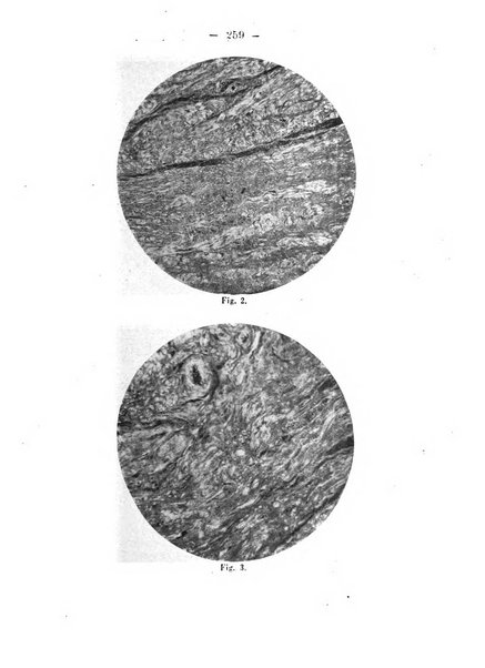 Annali di ostetricia e ginecologia