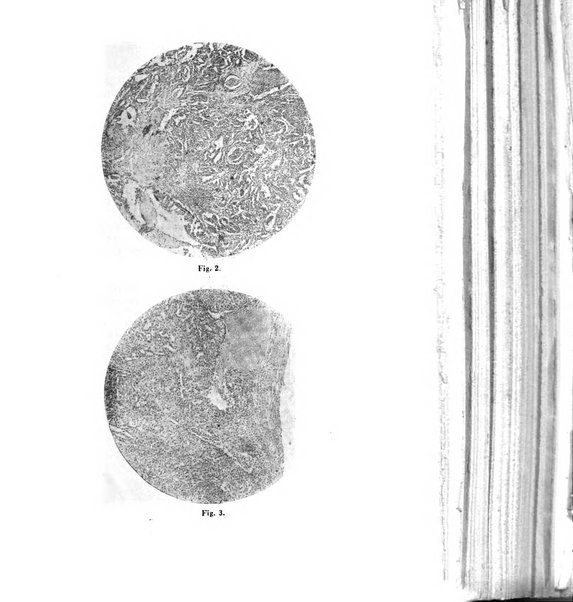 Annali di ostetricia e ginecologia