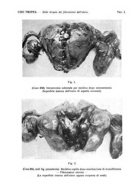 Annali di ostetricia e ginecologia