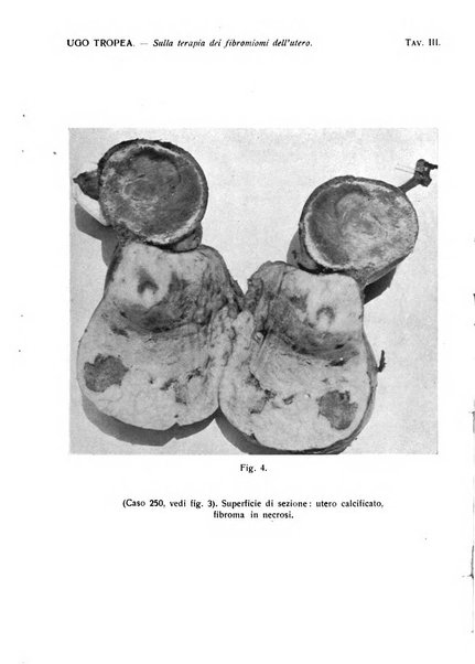 Annali di ostetricia e ginecologia