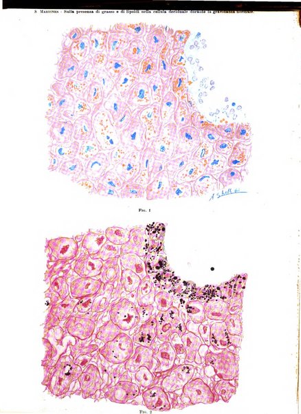 Annali di ostetricia e ginecologia