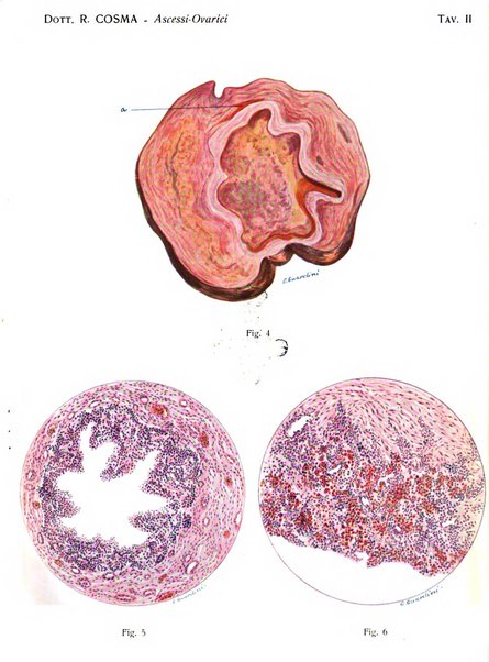 Annali di ostetricia e ginecologia