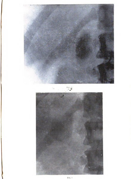 Annali di ostetricia e ginecologia