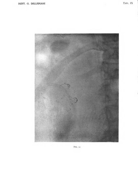 Annali di ostetricia e ginecologia