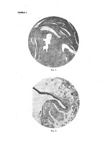 Annali di ostetricia e ginecologia