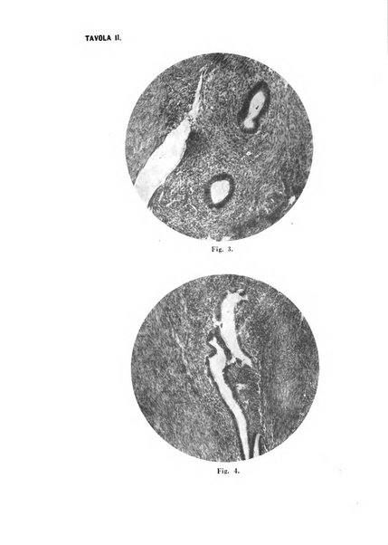 Annali di ostetricia e ginecologia