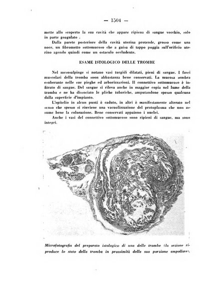 Annali di ostetricia e ginecologia