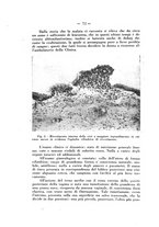 giornale/PUV0109343/1930/unico/00000078