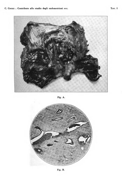 Annali di ostetricia e ginecologia