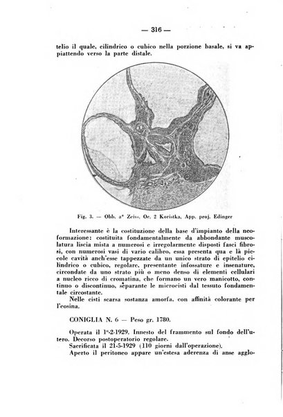 Annali di ostetricia e ginecologia