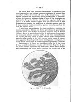 giornale/PUV0109343/1930/unico/00000366