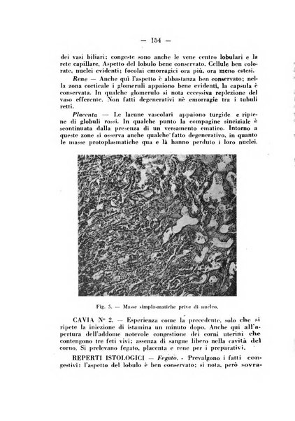 Annali di ostetricia e ginecologia