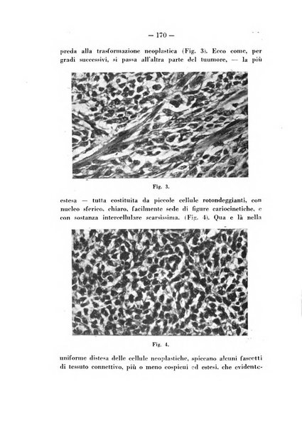 Annali di ostetricia e ginecologia