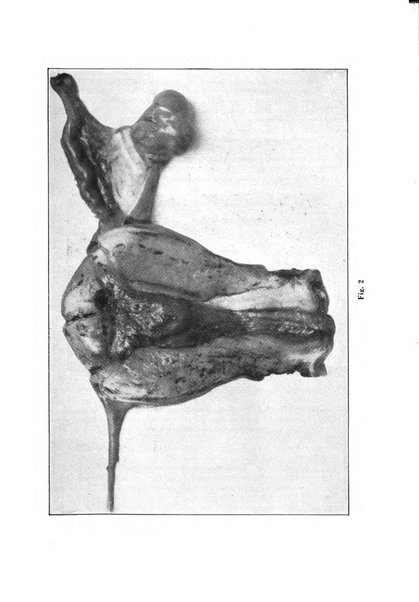 Annali di ostetricia e ginecologia