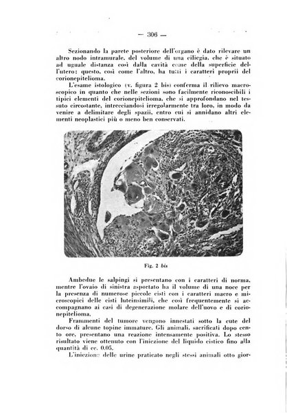 Annali di ostetricia e ginecologia