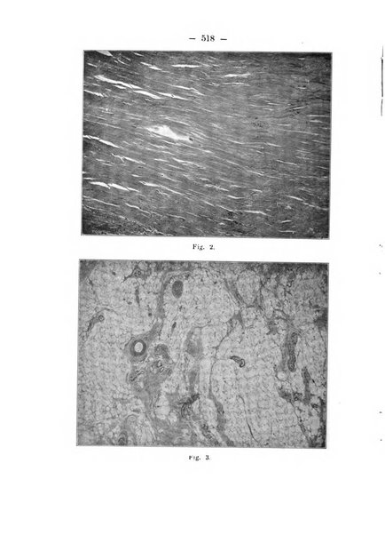 Annali di ostetricia e ginecologia